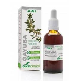 Formula Xxi Bärentraube Extrakt 50 Ml Soria Natural