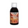 Inmuno Guard Fortgeschrittene Formel Sirup 250 Ml Vbyotics