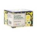 Lemon Spring Candle 120 G