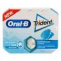Oral B Trident Chicles Pfefferminze 10 Einheiten