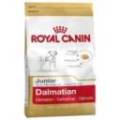 Royal Canin Dalmatian Júnior 12 Kg