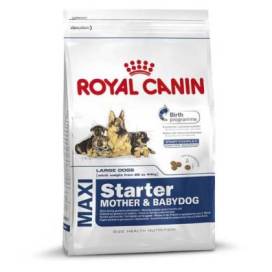 Royal Canin Maxi Starter 4 Kg