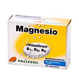 Vallesol Magnésio Vitaminas B1. B2. B6 24 Comprimidos