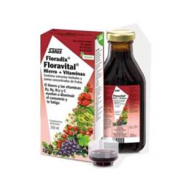 Floravital Sirup Ohne Gluten 250 Ml