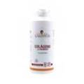 Kollagen Magnesium 450 Comps Lajusticia