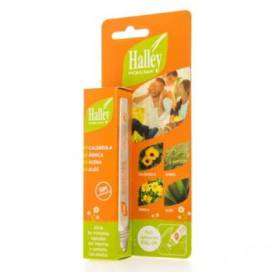 Halley Pick Bálsamo Roll On 12 ml