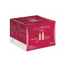 Adelgaysana Forte 20 Fläschchen 10 Ml