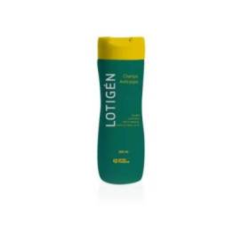 Lotigen Champô Anti-caspa 300 Ml