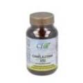 Chinese Cinnamon Dt2 60 Capsules Cfn