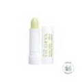 Vicorva Lip Protector Aloe Vera With Sunscreen 4g