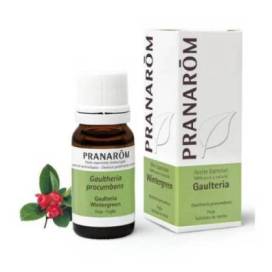 Wintergreen Essential Oil 10 ml Pranarom