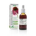 Formula Xxi Extracto De Equinacea 50 ml Soria Natural