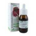 Formel Xxi Echinacea-Extrakt 50 ml Soria Natural