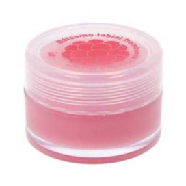 Interapothek Vaseline Raspberry 15 ml