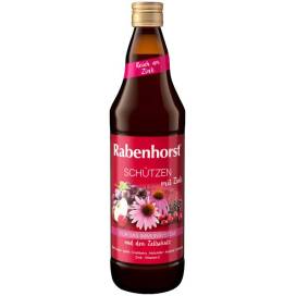 Rabenhorst Bio-Saftschutz mit Zink 750ml