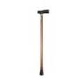 Aposan Extendable Walking Stick Robbie